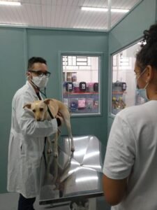 Consultório 2